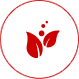 ico07