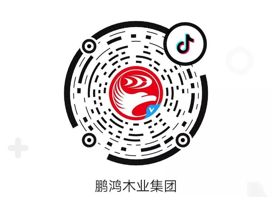 这厢有礼丨这个春节我最鸿，抖音相伴幸福年
