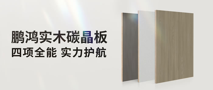 四项全能碳晶板，解锁家装超能力